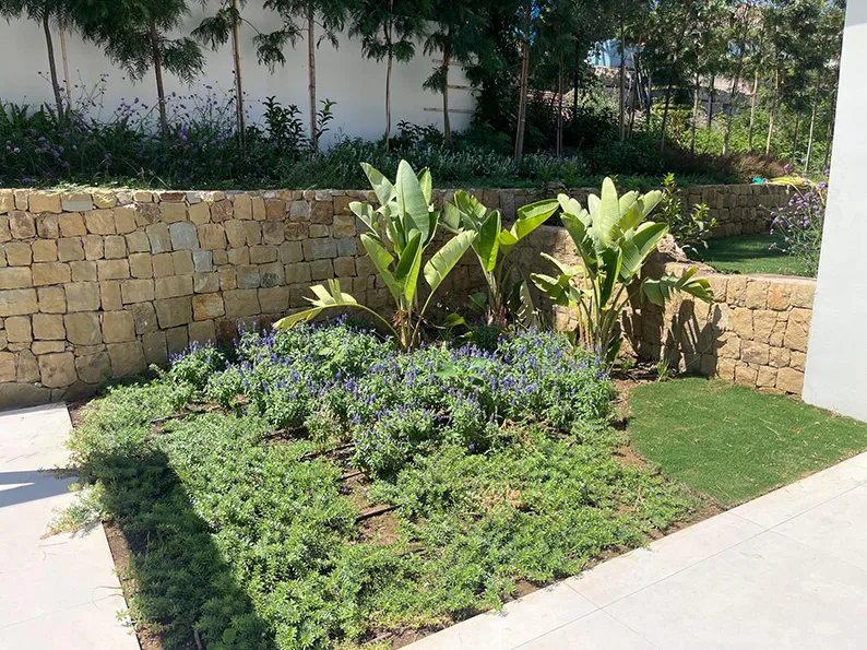 Jardín de Casa en Nueva Andalucía: vista 7 del archivo fotográfico