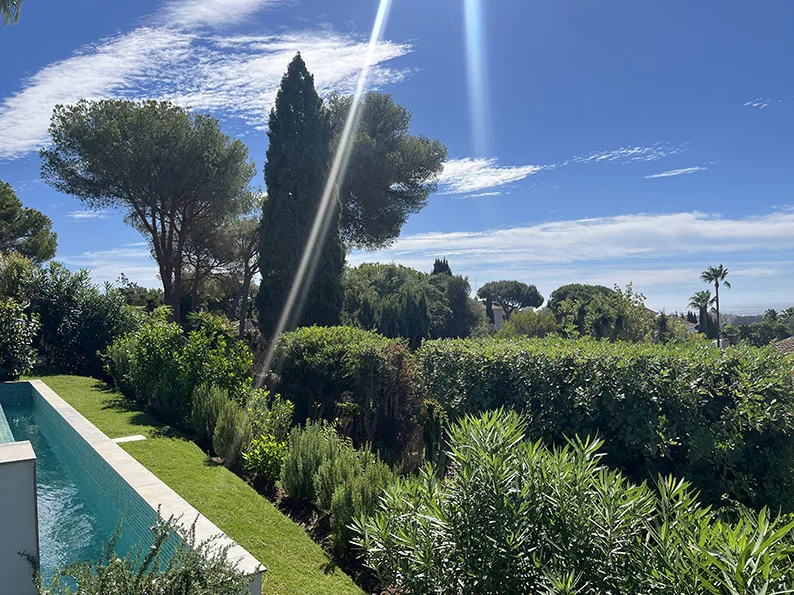 Pinos, setos y plantación en el jardín de la villa de Las Chapas